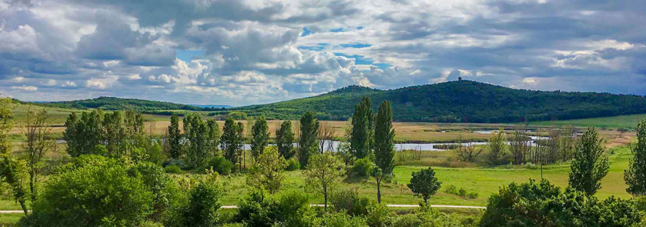 Capre Tihany Capre Tihany